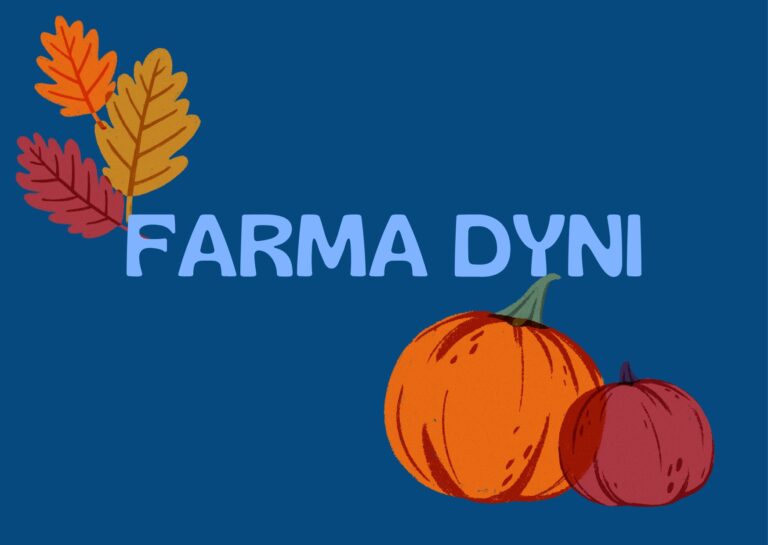 Farma Dyni